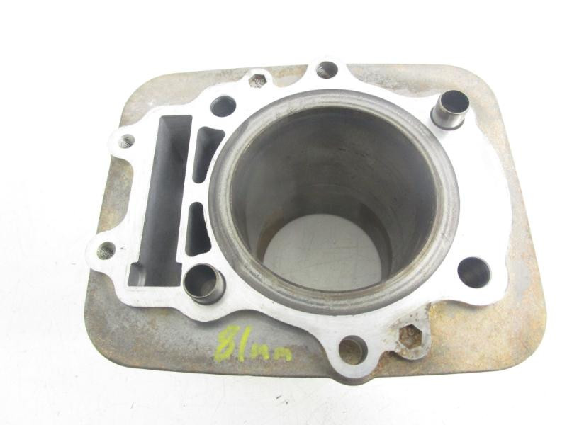 10 Arctic Cat 366 4x4 Cylinder Jug 0804-042 2008-2011 81mm